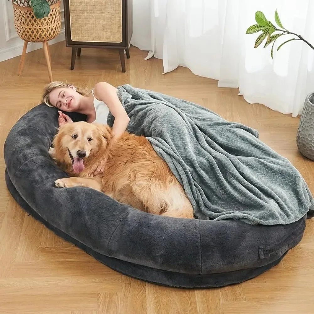 Human Sized Dog Bed